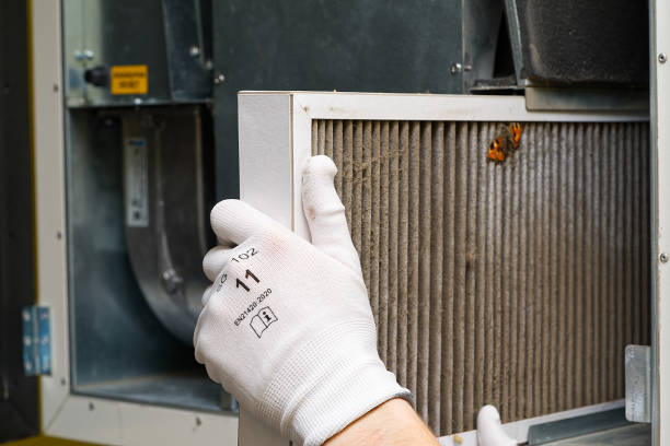 Best Home Air Vent Cleaning  in Smithton, IL