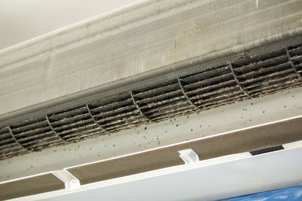 Best Affordable Air Duct Cleaning  in Smithton, IL