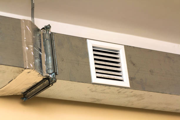Best Professional Duct Cleaning Services  in Smithton, IL